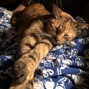 Meet your Posher, Jane